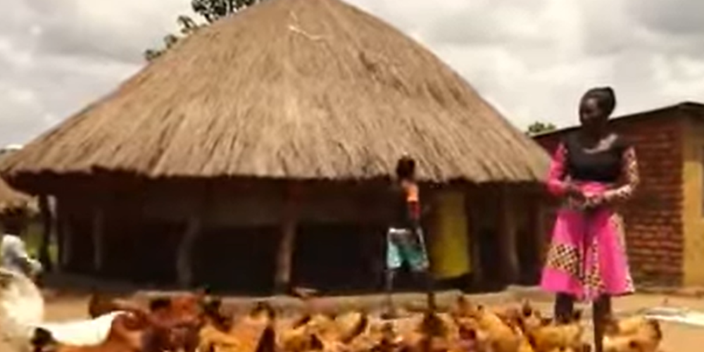 From Chickens to Sewing Machines: Kasara Joska’s Path to Self-Reliance